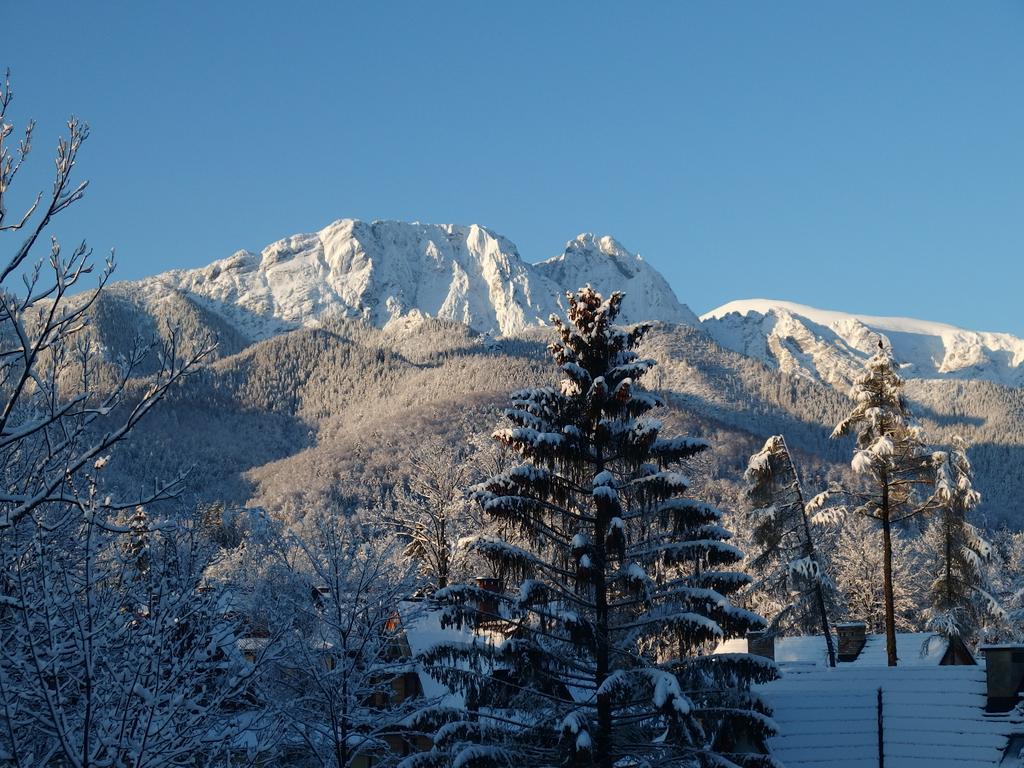 Lipowy Dwor Hotel Zakopane Kültér fotó