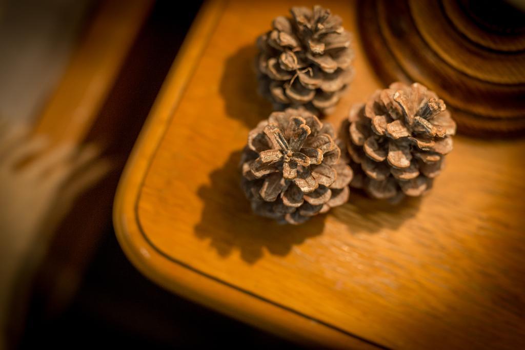 Lipowy Dwor Hotel Zakopane Kültér fotó